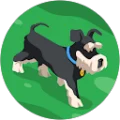Alan McIntosh Avatar